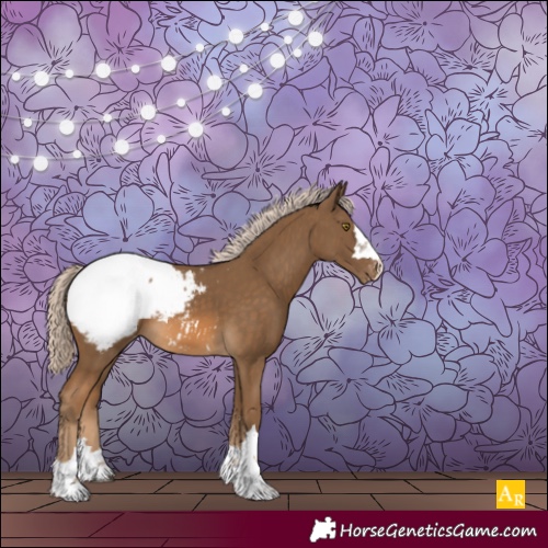 Horse Color:Chocolate Palomino Snowcap 