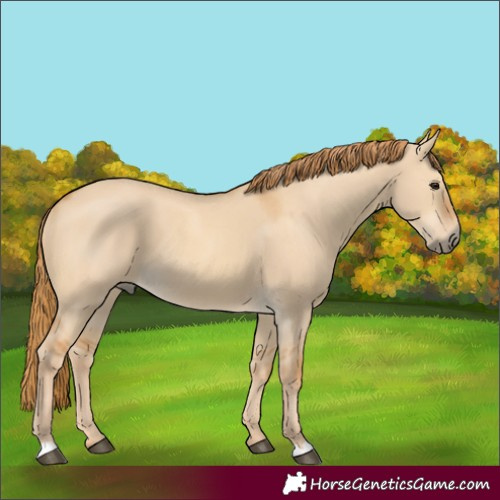 Horse Color:Red Dun 