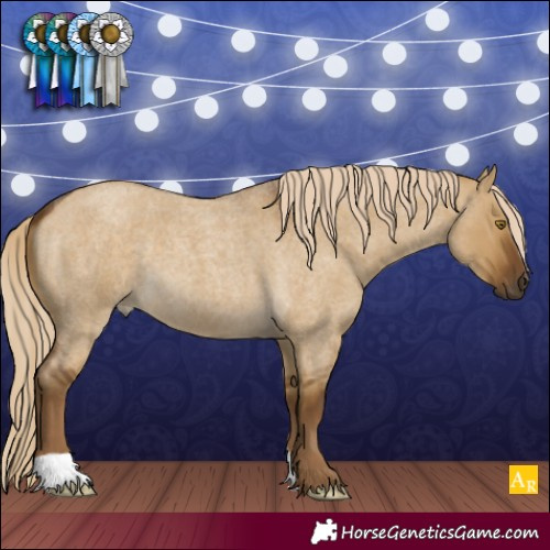 Horse Color:Chocolate Palomino Roan Dun