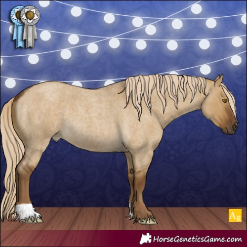 Horse Color:Chocolate Palomino Roan Dun 