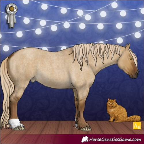 Horse Color:Chocolate Palomino Roan Dun