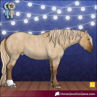 Horse Color:Chocolate Palomino Roan Dun