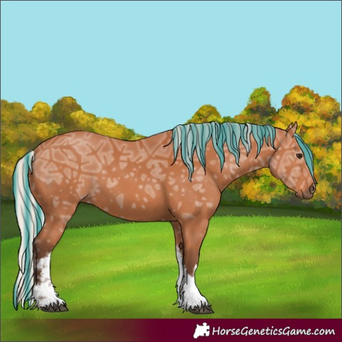 Horse Color:Painted White Spotted Silver Bay Ice