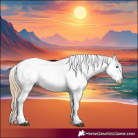 Horse Color:White Spotted Chestnut