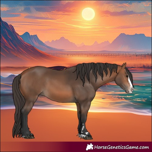 Horse Color:Bay Splash