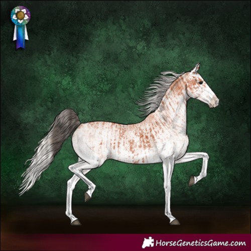 Horse Color:White Spotted Bay Splash  and White Spotted Silver Bay Splash 