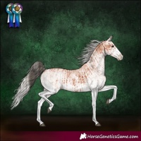Horse Color:White Spotted Bay Splash and White Spotted Silver Bay Splash