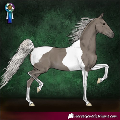 Horse Color:Silver Smoky Black Tobiano 