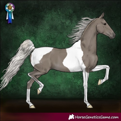 Horse Color:Silver Smoky Black Tobiano 