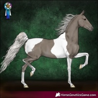 Horse Color:Silver Smoky Black Tobiano 