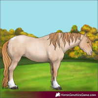 Horse Color:Red Roan Pearl Tobiano Frame