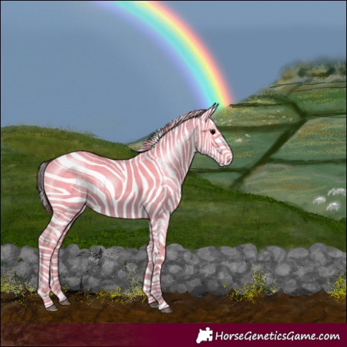 Horse Color:White Spotted Smoky Black 