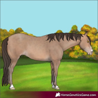 Horse Color:Amber Champagne