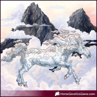 Horse Color:Smoky Black Splash Tobiano Frame Appaloosa 