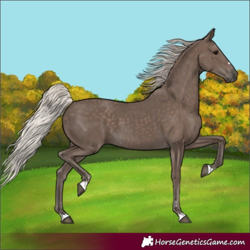 Horse Color:Silver Black 