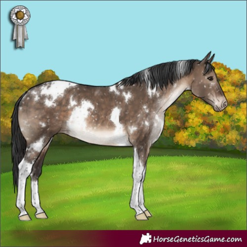Horse Color:White Spotted Brown Dun Tobiano Appaloosa Rabicano Brindle 
