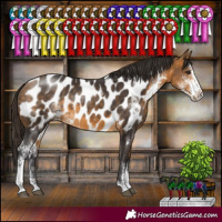 Horse Color:Buckskin Sabino Near Leopard 