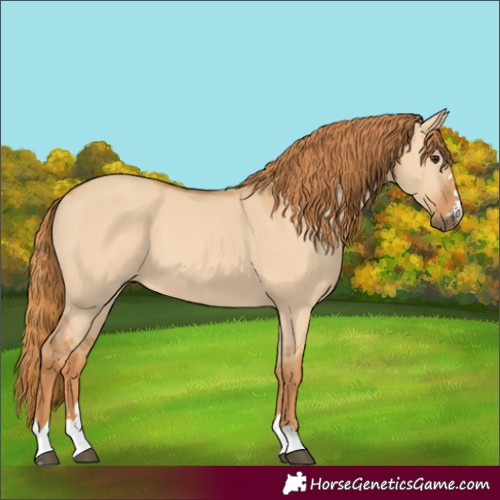 Horse Color:Unknown 