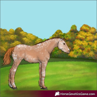 Horse Color:Chestnut Ice 