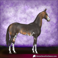 Horse Color:Smoky Black  and Buckskin 