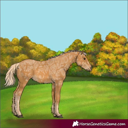 Horse Color:Palomino Ice
