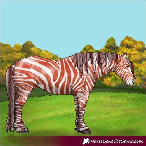 Horse Color:Bay Frame 