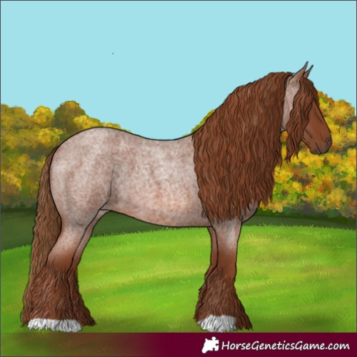 Horse Color:Red Roan 