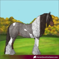 Horse Color:Liver Red Roan Tobiano