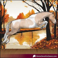 Horse Color:Silver Blue Roan Pearl Tobiano Frame