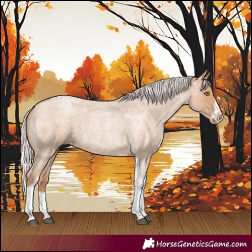 Horse Color:Silver Blue Roan Pearl Tobiano Frame 