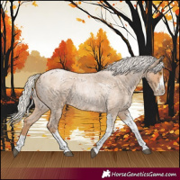 Horse Color:Silver Blue Roan Pearl Tobiano Frame