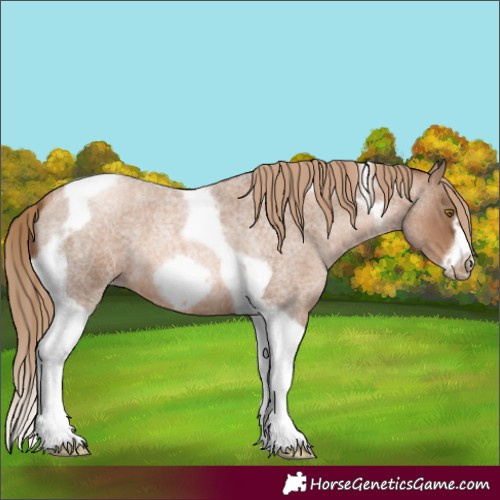Horse Color:Liver Red Roan Pearl Tobiano Frame 