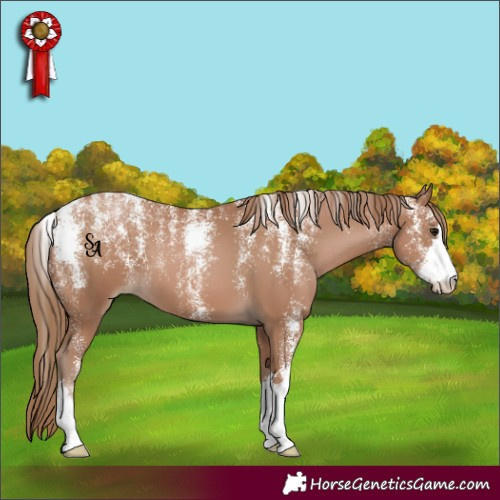 Horse Color:Powder White Black Pearl 
