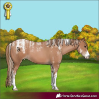 Horse Color:Powder White Black Pearl 