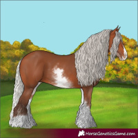 Horse Color:White Spotted Silver Bay Splash