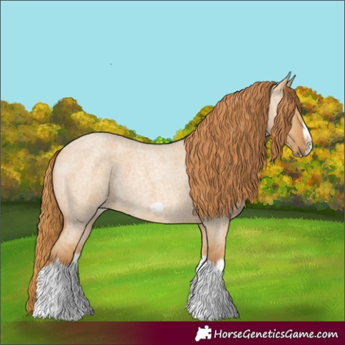 Horse Color:Red Dun Roan Splash Frame Rabicano 