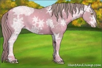 Horse Color:Watercolor Gold Champagne Ice Frame 
