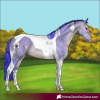 Horse Color:Watercolor Bay Dun Tobiano
