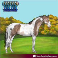Horse Color:Brown Dun Mushroom Sabino Tobiano 