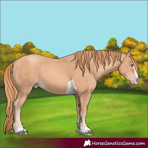 Horse Color:Unknown 