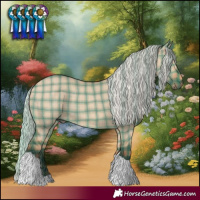 Horse Color:Plaid  Silver Brown Dun Tobiano 
