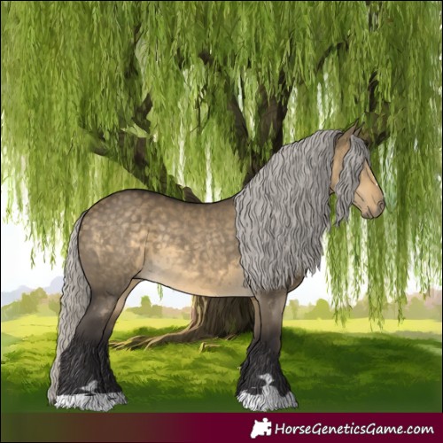 Horse Color:Silver Buckskin Dun 