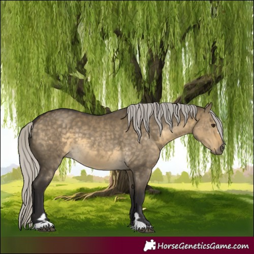 Horse Color:Silver Buckskin Dun 