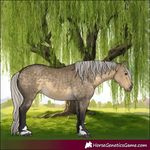 Horse Color:Silver Buckskin Dun