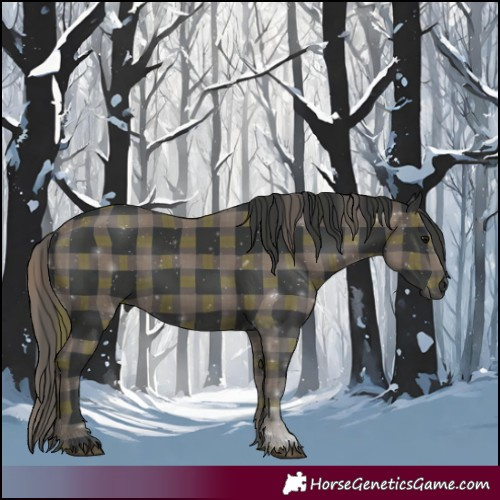 Horse Color:Plaid  Black 