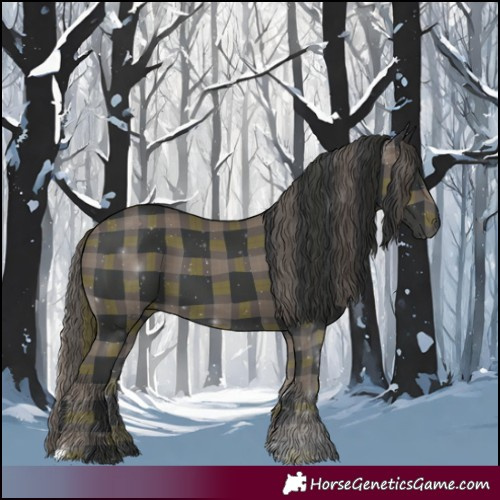 Horse Color:Plaid  Black 
