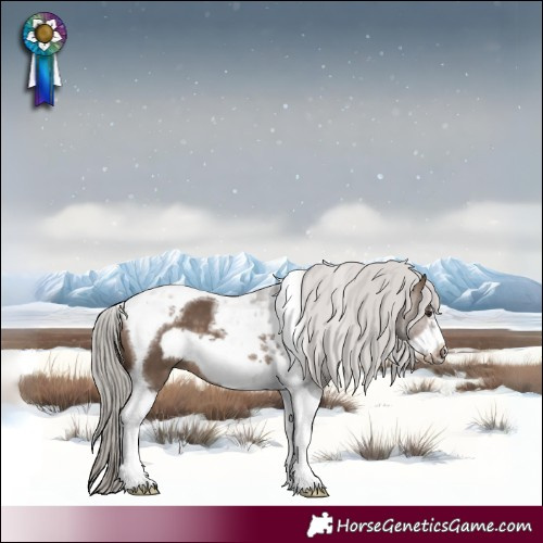 Horse Color:Silver Brown Dun Tobiano Frame 