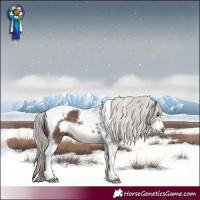 Horse Color:Silver Brown Dun Tobiano Frame 