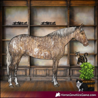 Horse Color:Powder White Chocolate Palomino Dun Mushroom Skewed Appaloosa Brindle  and Powder White Liver Red Dun Mushroom Skewed Appaloosa Brindle 