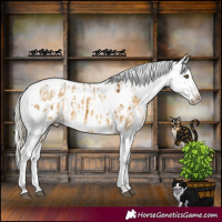 Horse Color:Powder White Chocolate Palomino Dun Mushroom Skewed LP Spotted Brindle and Powder White Liver Red Dun Mushroom Skewed LP Spotted Brindle